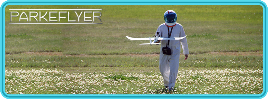 FB_ParkeFlyer_Banner_1.jpg?width=450